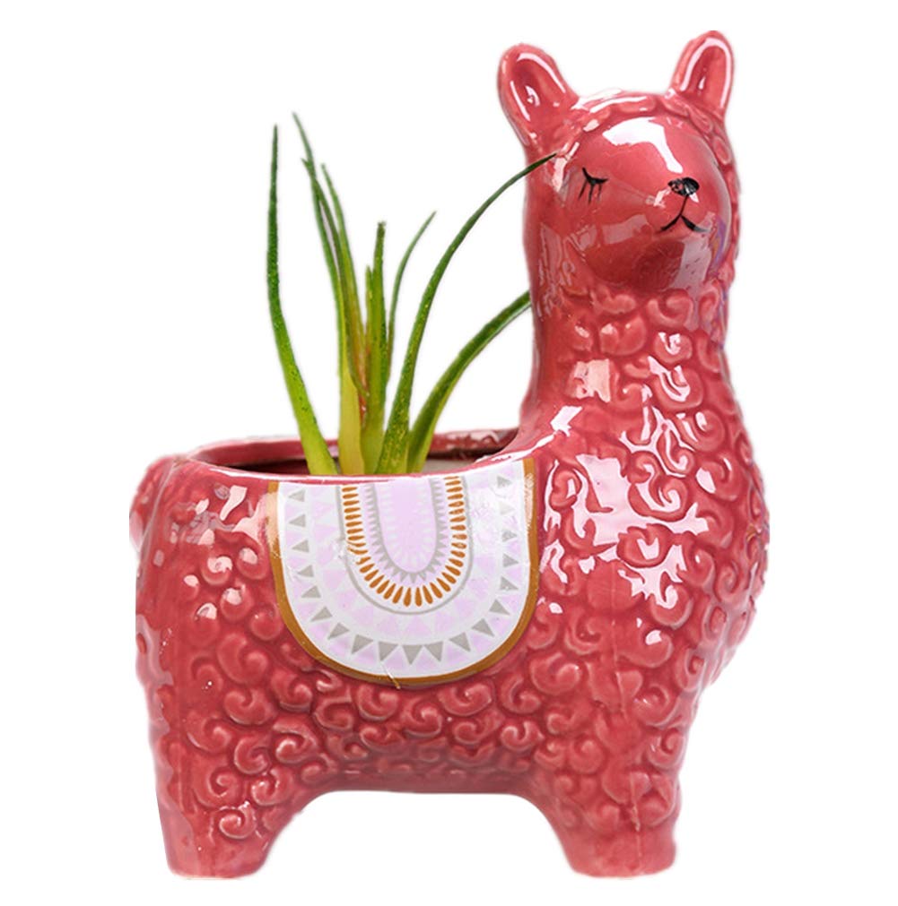 NTPHNB Cute Alpaca Succulent Pots Ceramic Planter Small Cactus Flower Pot White