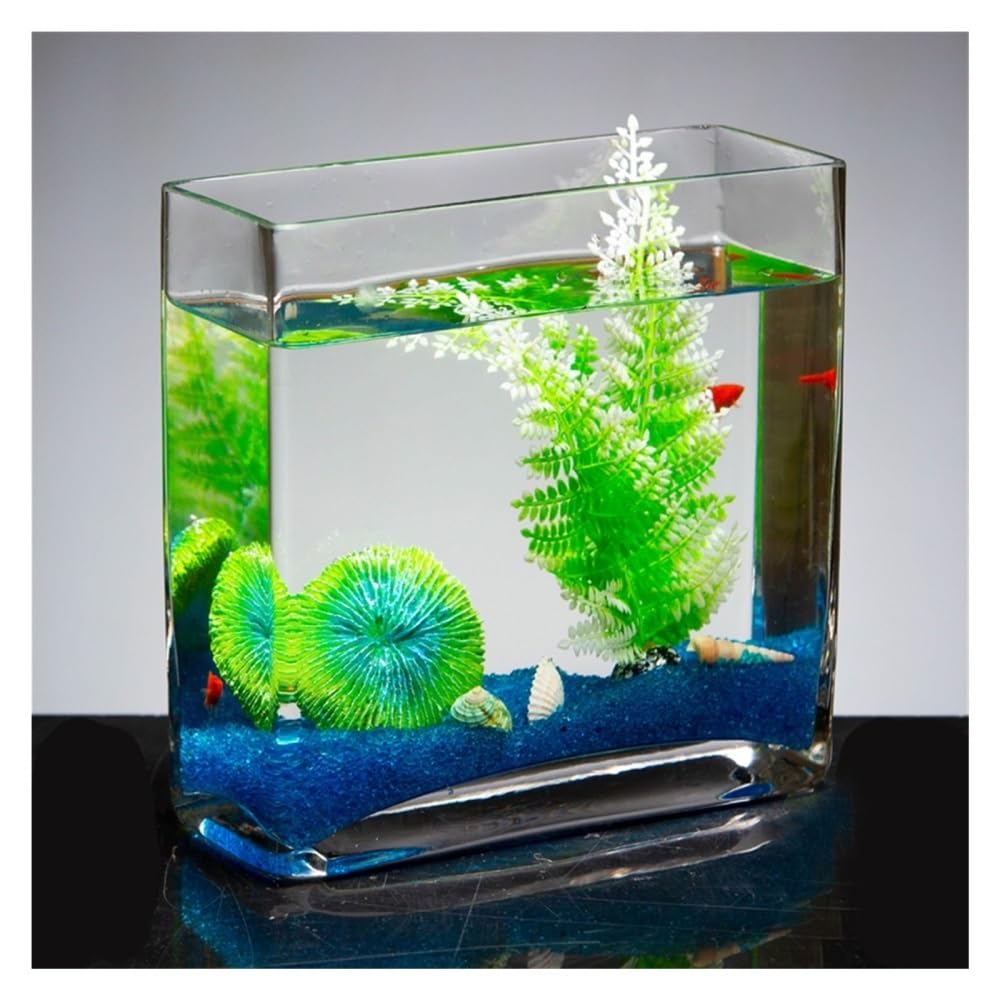 Aquarium Rechteckiges Glasaquarium for das Wohnzimmer, kleines Aquarium, transparente Tischvase