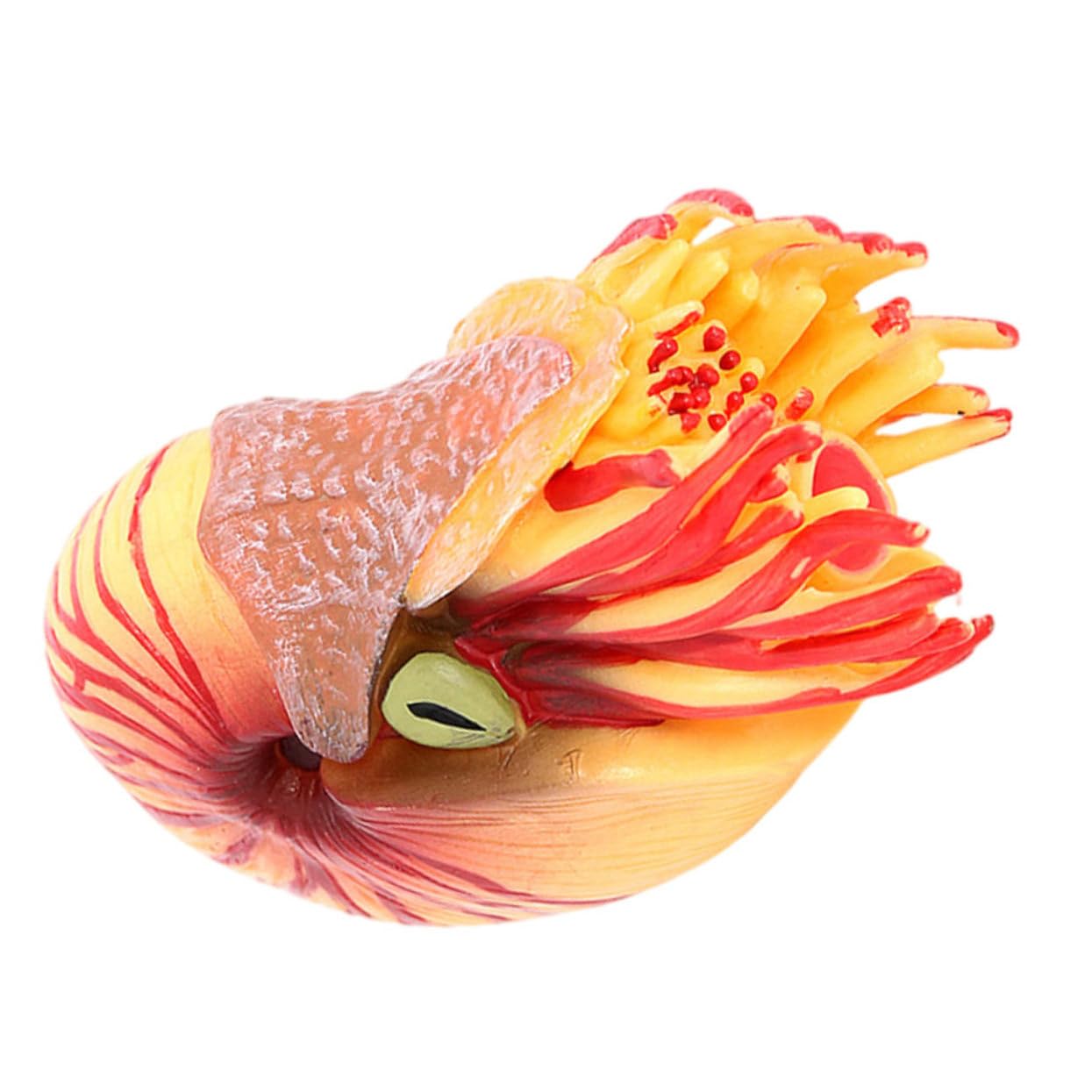 TOYANDONAToys 3pcs Conch Toy Ornament Nautilus Conch Figurine Conch Sculpture Nautilus Figurine Sea Animal Model Sea Marine Animal Figures Child Birthday Present Kids Toys