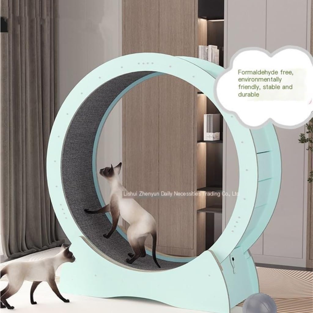 フィレンツェ　猫のいるドゥオーモ フィレンツェ 猫のいるドゥオーモ フィレンツェ 猫のいるドゥオーモ X