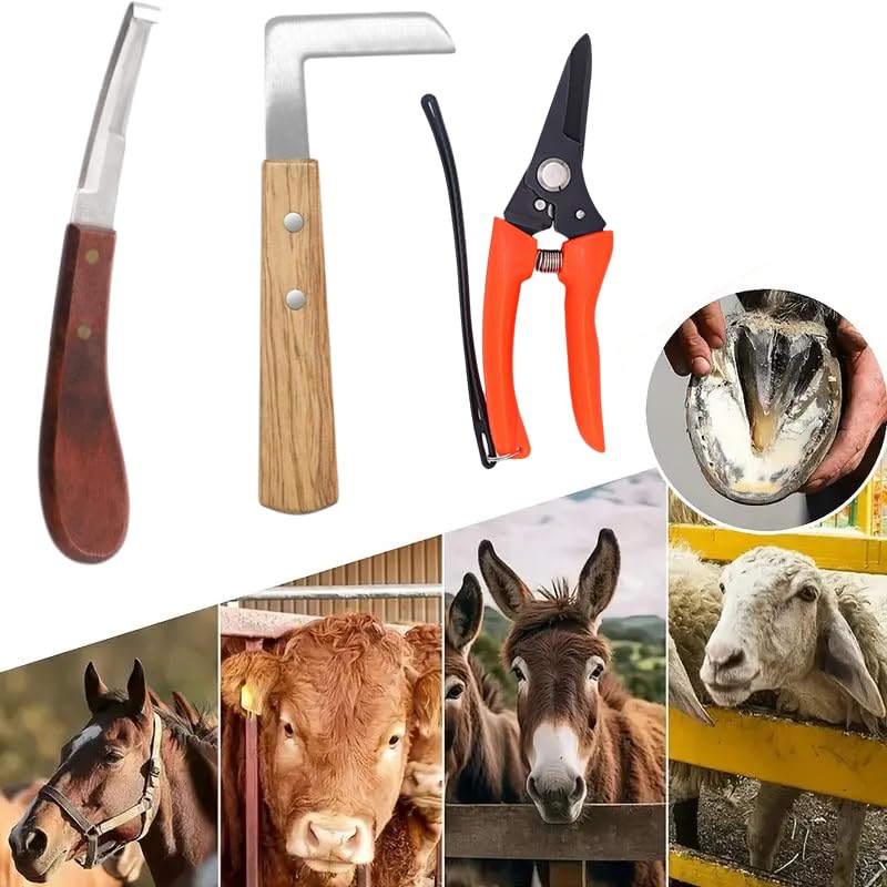 Image of 10 inch Farrier Tool Kits （8 Piece）Horse Goat Hoof Trimmers Carbon Steel Nippers Shears Nail Clipper Mini Rasp Hoof File Professional Farriers Hoof Nipper Cutter Handle Knife with Storage Bag
