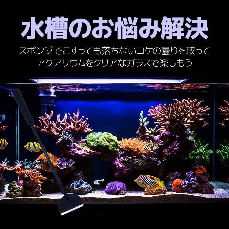 Amazon.co.jp: Hiro 水槽プロレイザー コケ取り スクレーパー 33cm