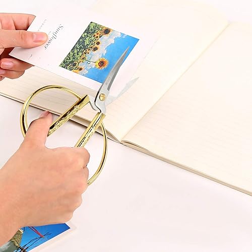 Miniatura 4 de Wasan Tijeras de bonsái con diseño de dragón y fénix chapadas en oro, tijeras chinas tradicionales para el hogar, para costura, manualidades, corte