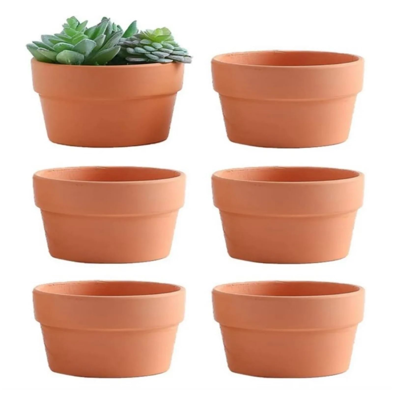 Pots de fleurs en argile drainants : évitez l'excès d'eau de vos cactus et succulentes