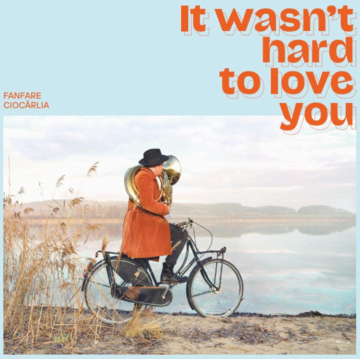 It Wasn'T Hard to Love You [VINYL]