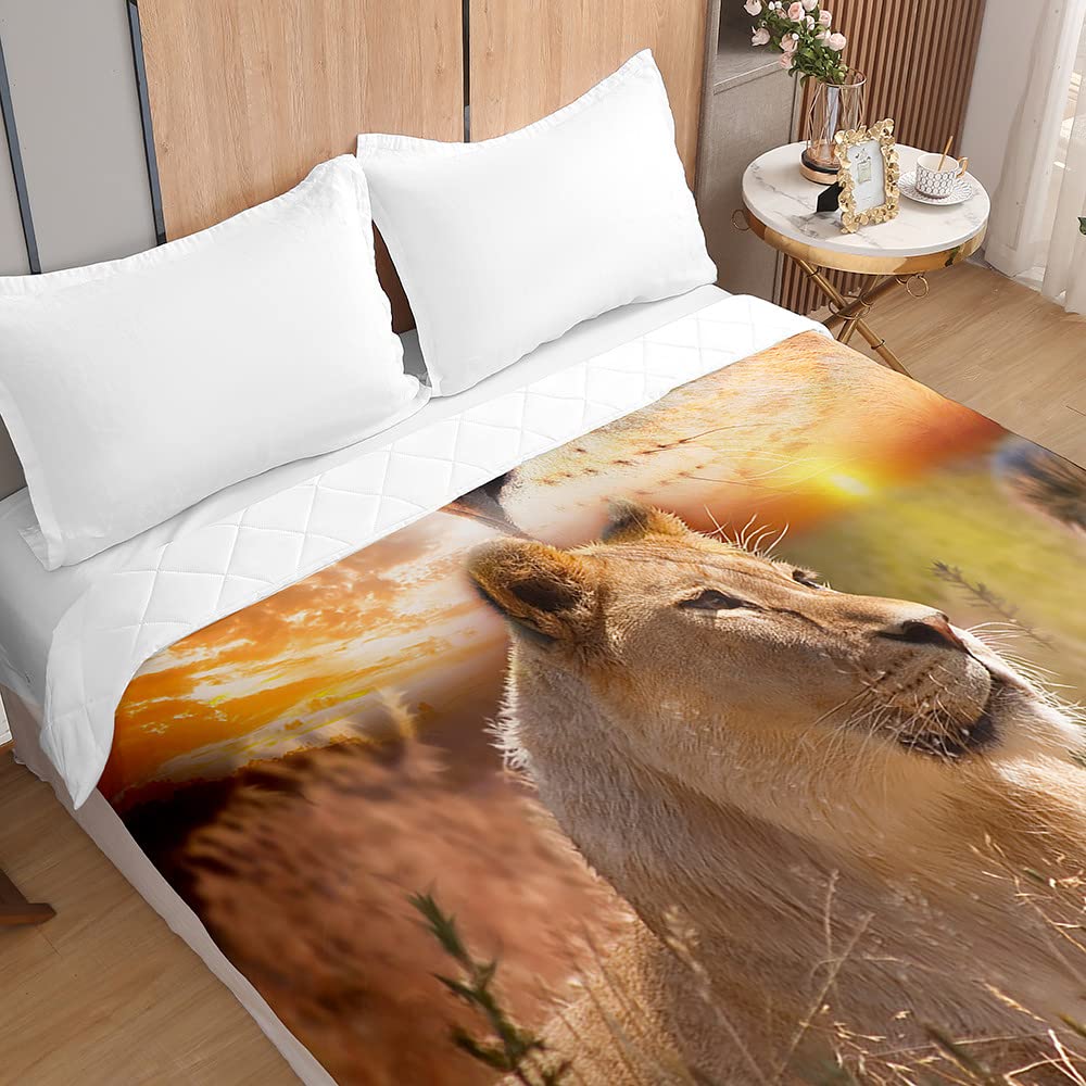 Copriletto Trapuntato Cavallo 3D Surwin - Morbida Microfibra Per Letto Singolo E Matrimoniale - Foto 3