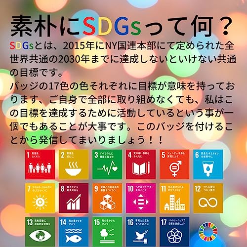 SDGs Badge (Diameter 0.8 inch (20 mm) Small), Badge Pin Badge, ESDIZIES, Pin Batch, Latest United Nations Headquarters Specifications, Lapel Pin, Company Size, Silver, Cute, Stylish, Mini with Rounded Surface (1), 3 Fasteners Included