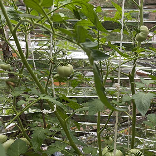 Silver Reflective Mylar Film Sheets - Garden Greenhouse Covering Foil Sheets Set Of 10 Pack | Mylar Roll For Grow Room Effectively Increase Plants Growth - 87 X 63 Inch Space Emergency Blankets Fabric #TOP5