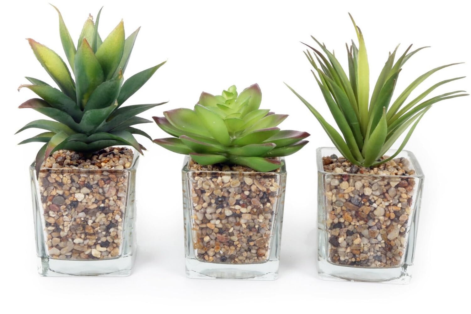 Buzz Clear Set Of 3 Artificial Succulent/Cactus Houseplant In Glass Plant Pot With Pebble Detail - 18Cm Approx