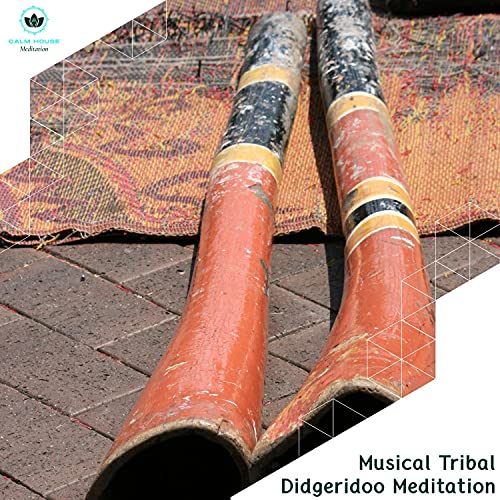 Play Musical Tribal Didgeridoo Meditation by Wilson Australian Native
