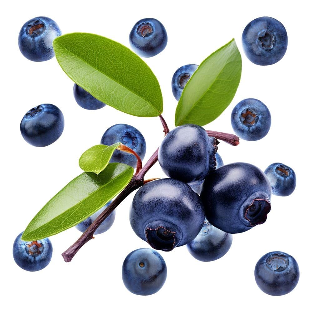 Esencia Aromática de Arándanos | Notas Afrutadas y Florales | Ideal para Perfumes, Velas y Cosméticos Caseros | Formato Concentrado 1 Litro
