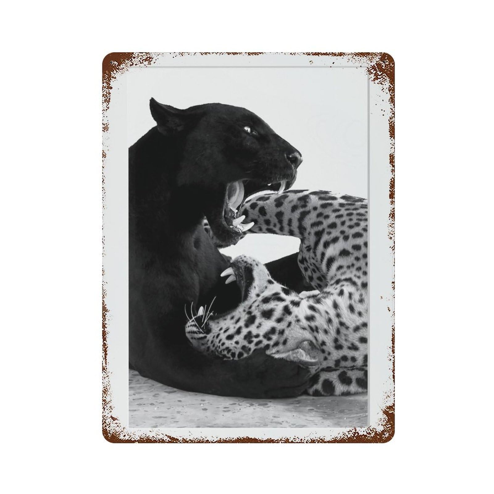 xiaoxiaoshen Panther Photography S Wall Decor Art Metal Tin Poster Modern Home Decor Art Home Bar Shop Decorations Vintage Sign 40x30cm