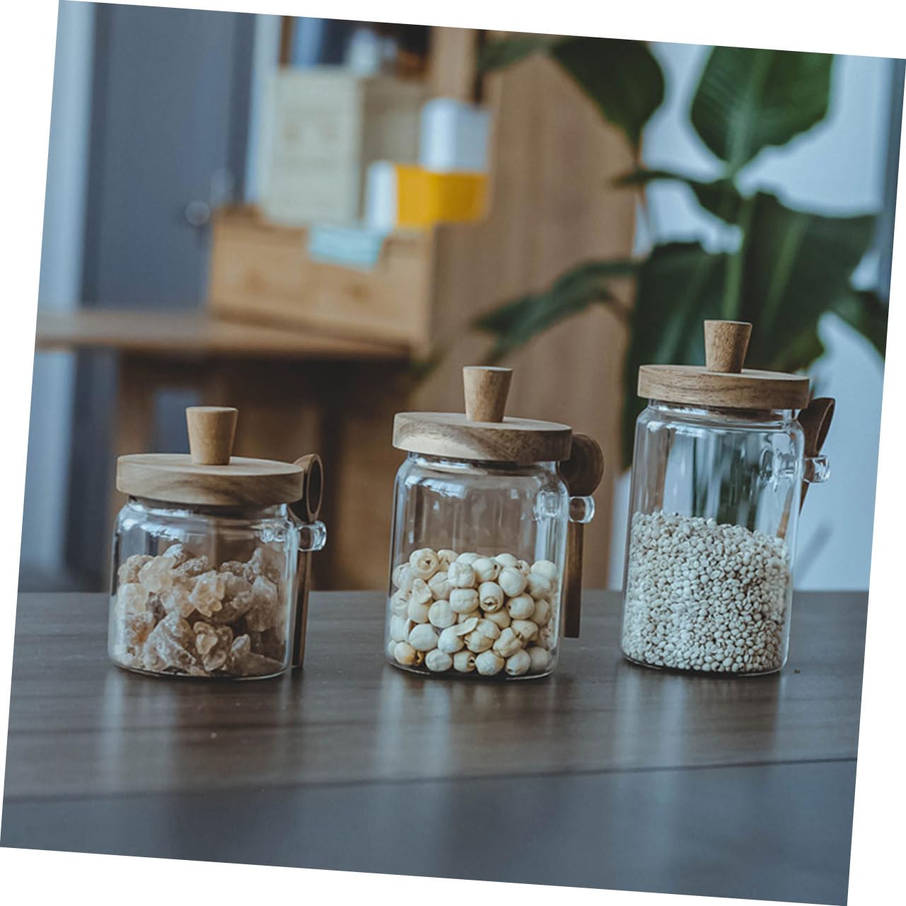 Hohopeti Salzbehälter mit Holzdeckel und Löffel 3 Stück Luftdichte Gewürzbehälter aus Glas 850ml/550ml/400ml Praktisches Design für Küche für Familiengebrauch