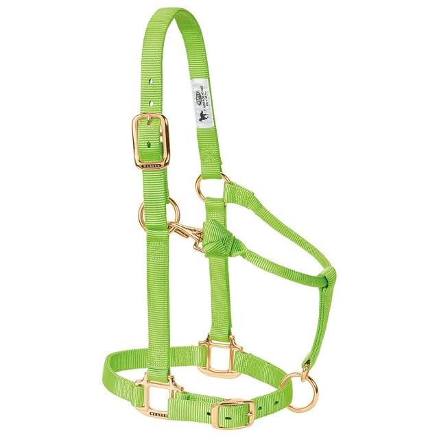 Foto 8 de 8 de Weaver Leather Original Ajustable Nylon Caballo Halter, Weanling/Pony, Azul Marino