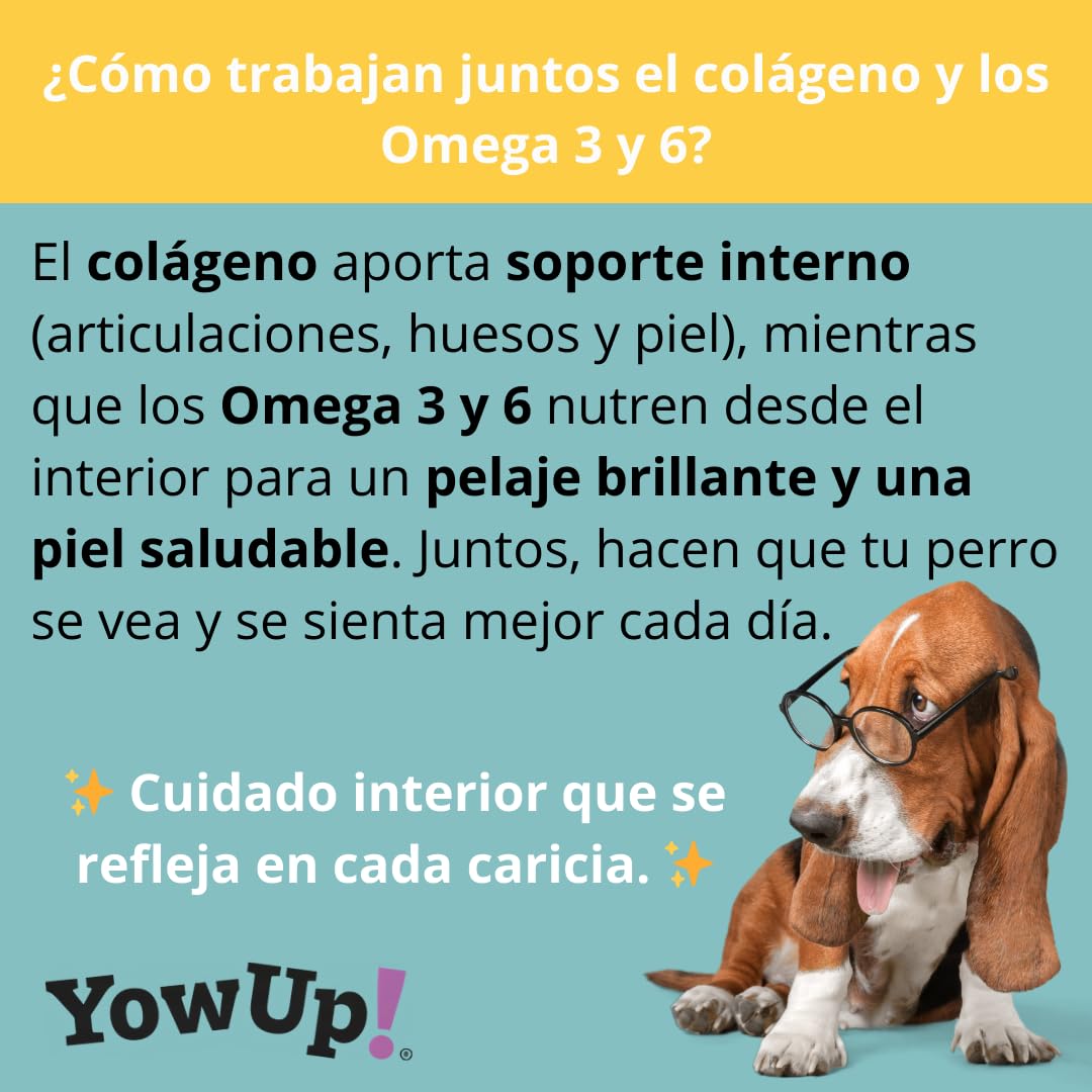 YowUp! Yogur para Perros Piel y Pelo | con Omega 3, 6 y Biotina | Pack Caja Display 10×115 g | Sin Lactosa, Sin Azúcares, Snack Funcional Saludable