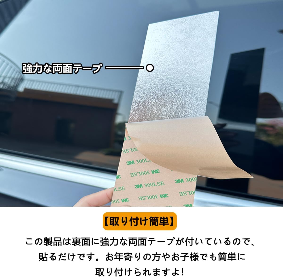 篠崎真樹 硬膜整体D2 篠崎真樹先生 硬膜整体D2 +自動調整A3 +特典DISC 硬膜