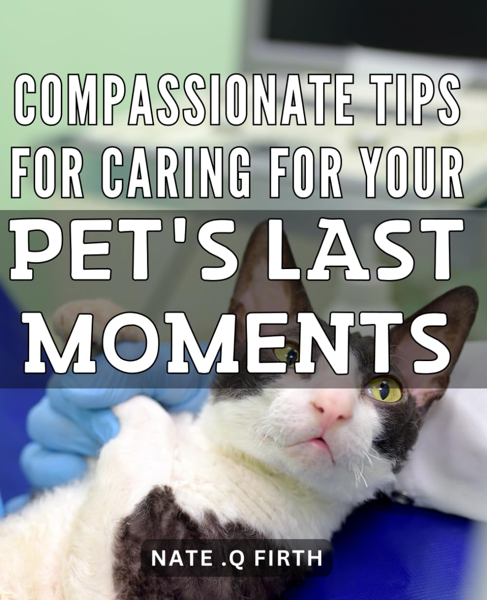 Compassionate Tips for Caring for Your Pet's Last Moments: Practical Ways to Honor Your Beloved Pet and Cope with Grief: A Guide for End of Life Pet Care