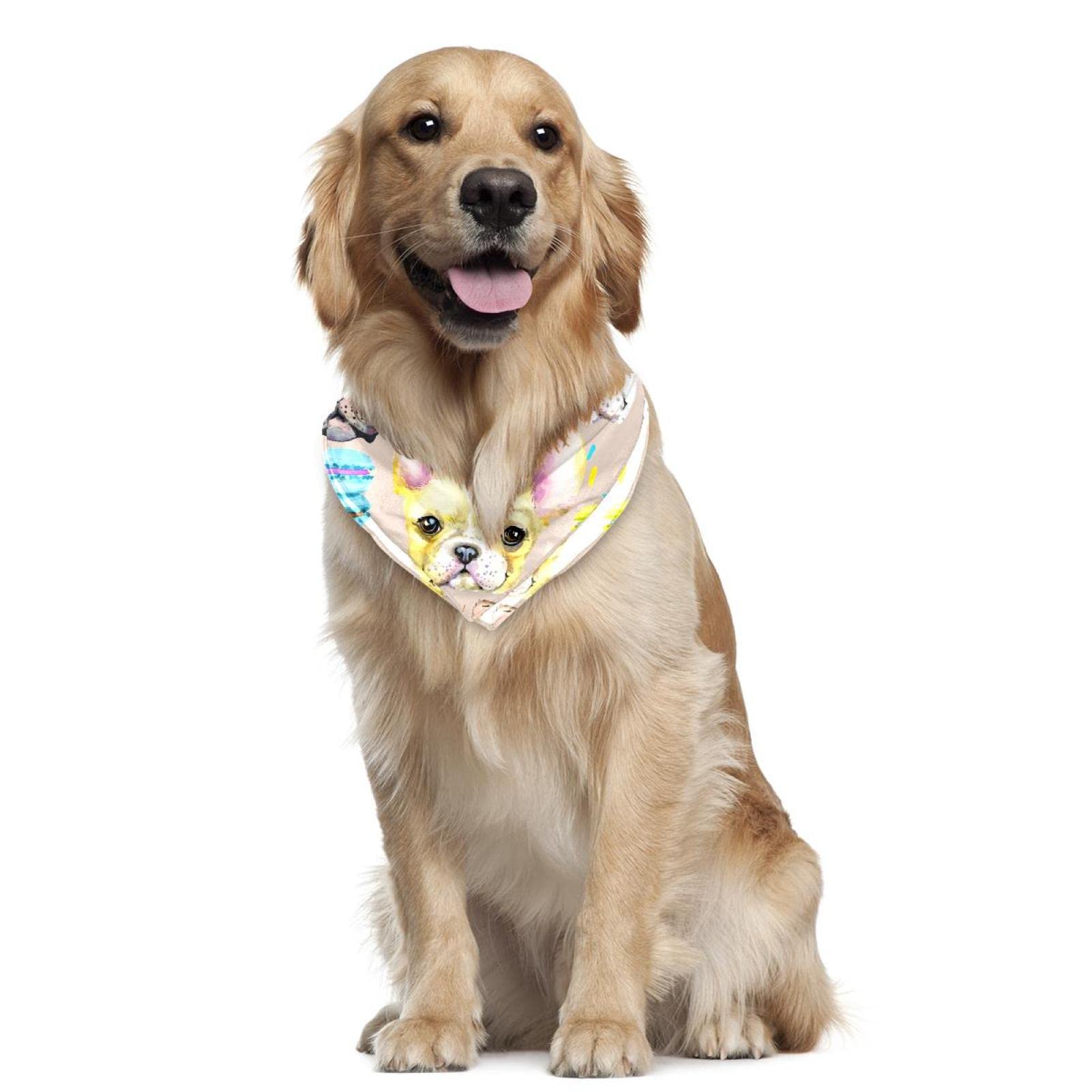 Sciarpa Estiva Per Animali Domestici - Italia