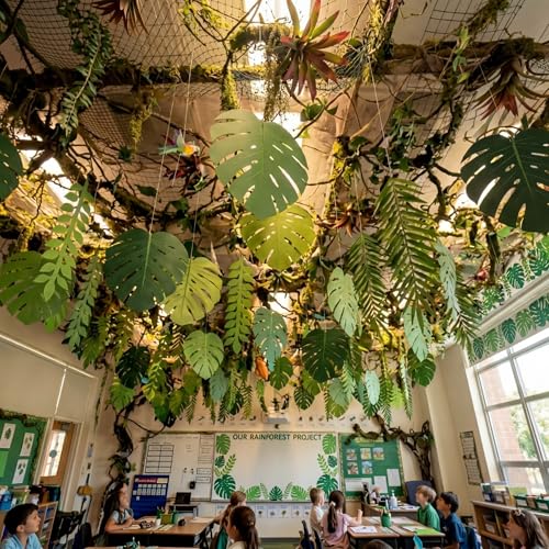 Sabary 60 Pcs Jungle Classroom Decorations 8 x 12 in 3 Styles