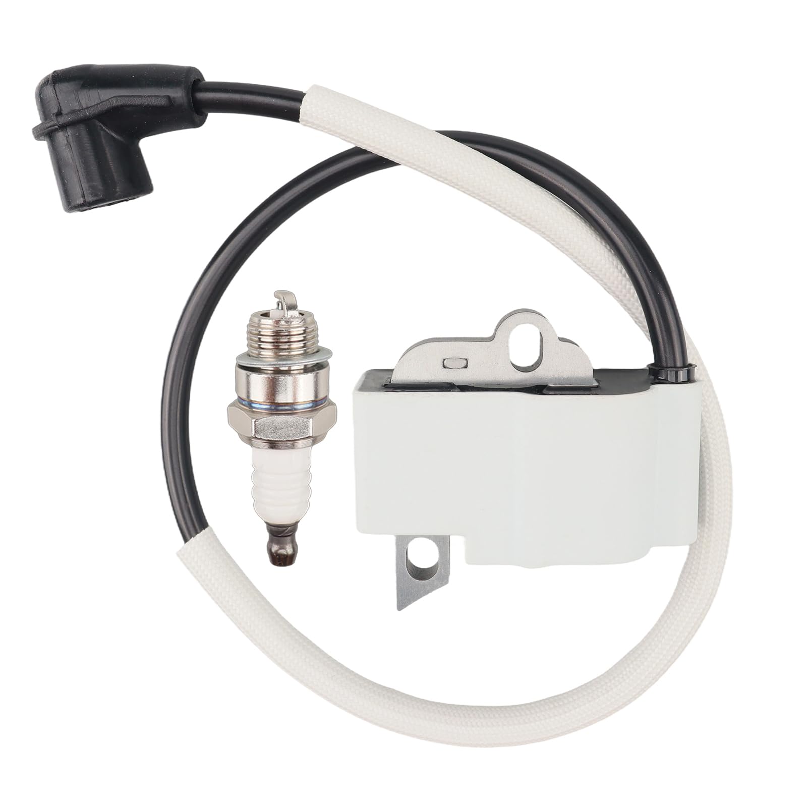 Amazon.com: 395143010 (ID#CDIM 120/15) 161310-1 Ignition