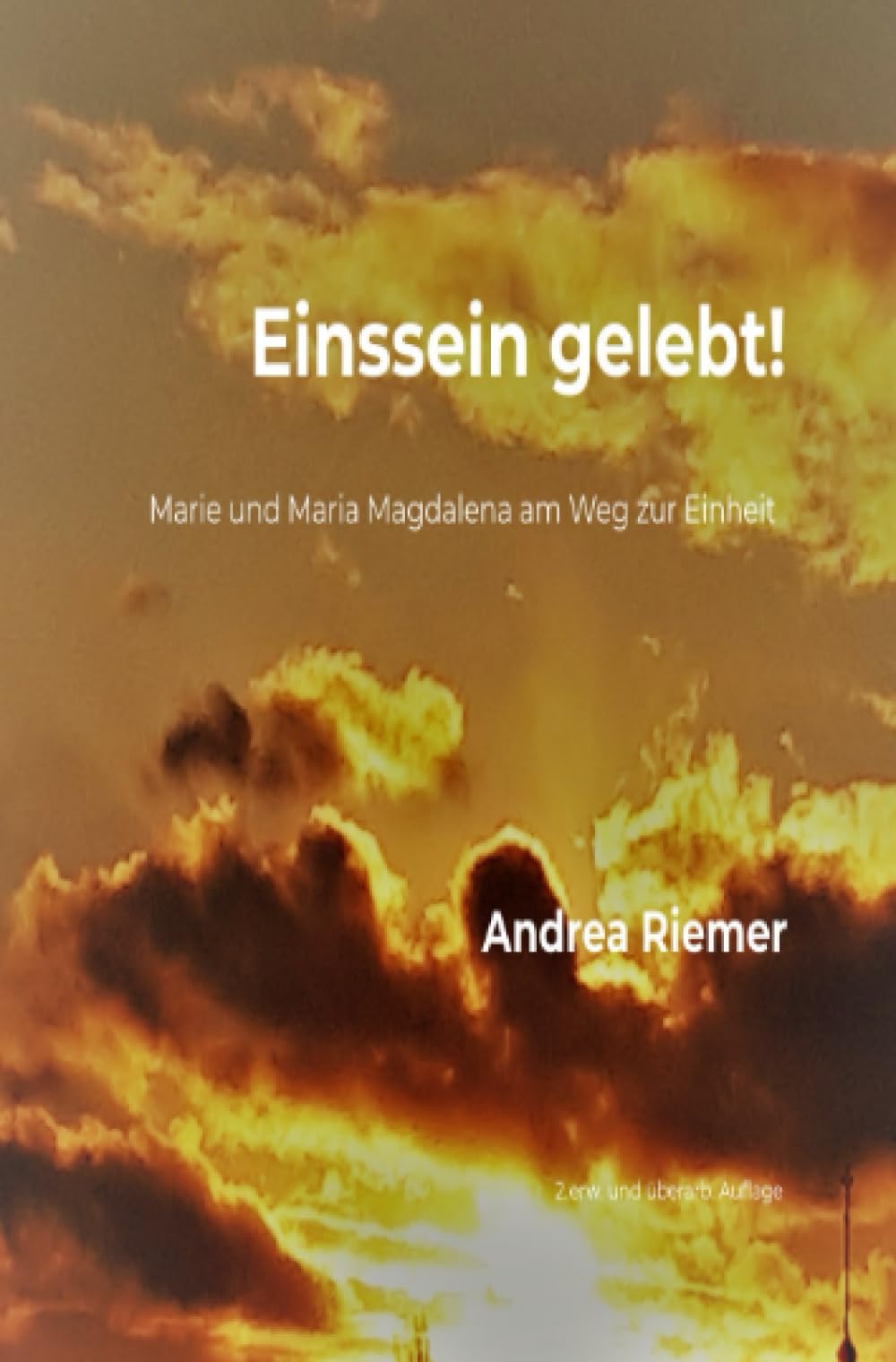 Einssein gelebt!: Marie und Maria Magdalena am Weg zur Einheit