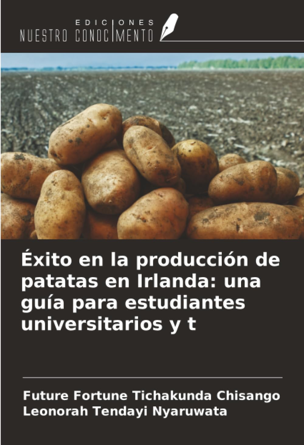 Éxito en la producción de patatas en Irlanda: una guía para estudiantes universitarios y t