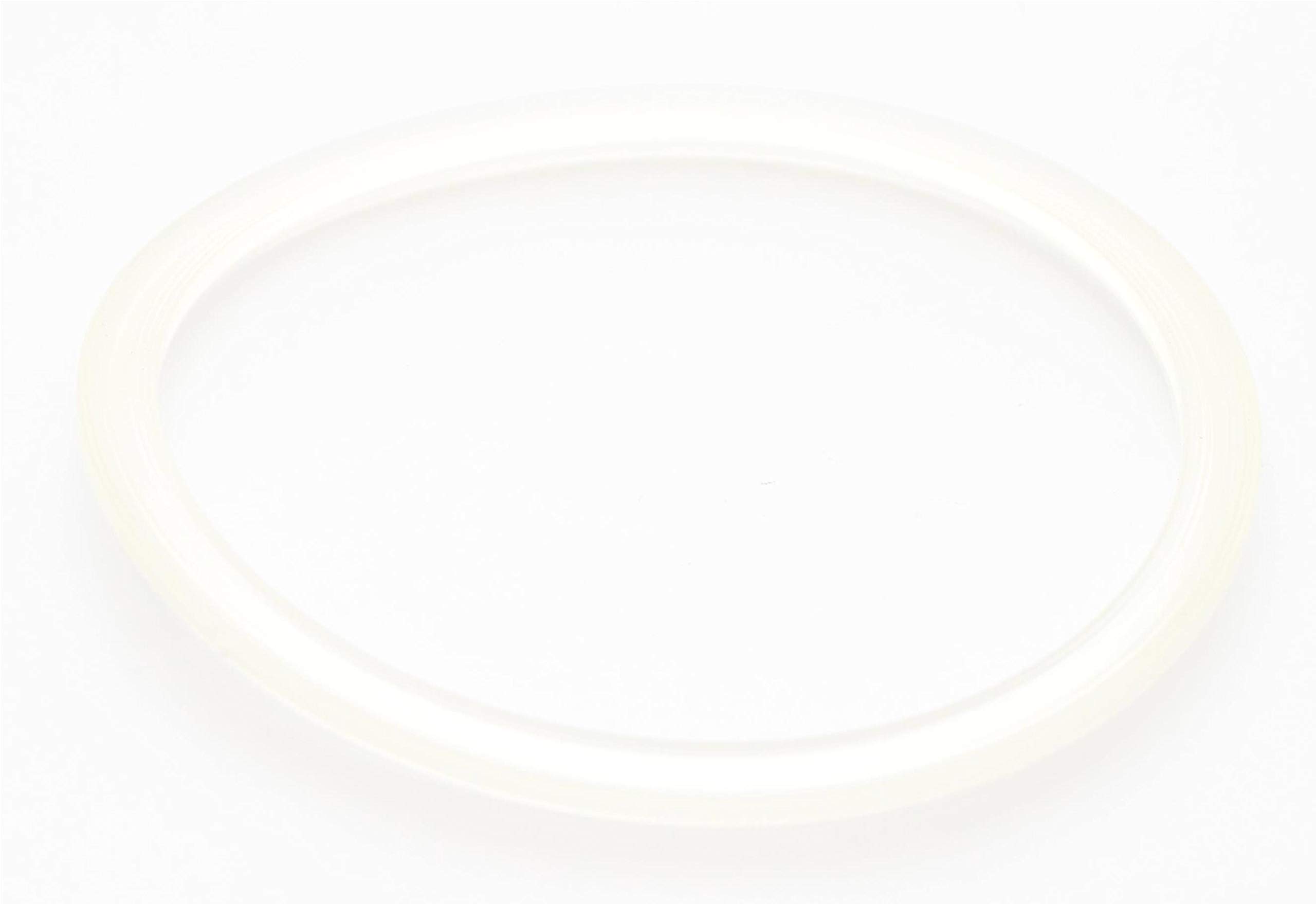 Joint étanche pour récipient de mixer KitchenAid KSB555 et KSB565 etc