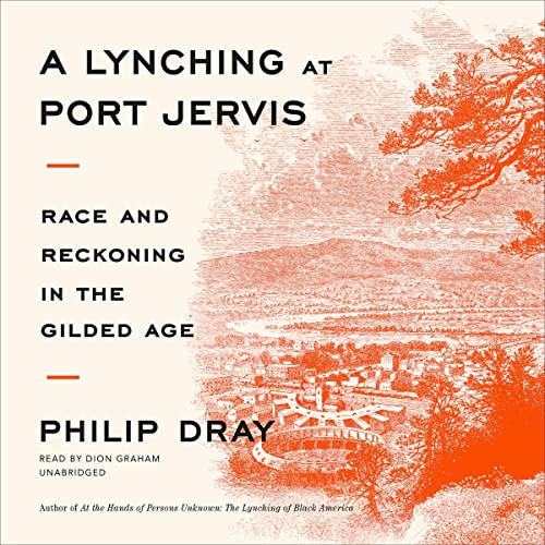 A Lynching at Port Jervis by Philip Dray episode artwork