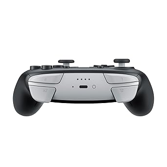 Nintendo SwitchTM 2 Pro Controller