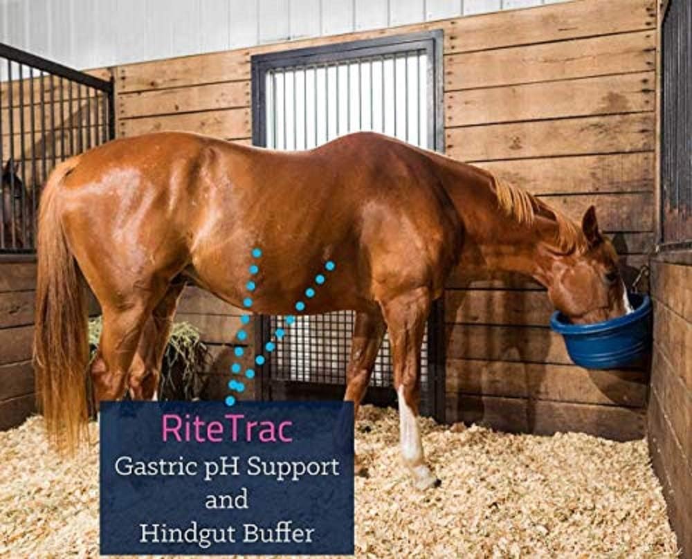 Kentucky Equine Research RiteTrac: Total Digestive Tract Support for Horses, 3 kg (25 Servings) : Pet Supplies
