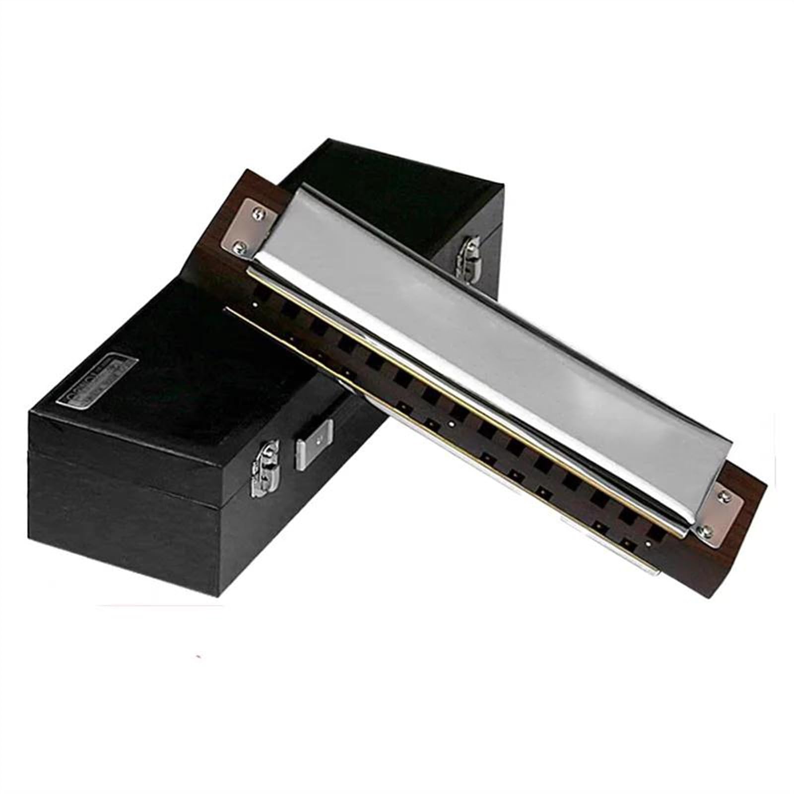 Harmonica 25 Holes 25 Tones Bass Harp Ensemble Mouth Organ Professional Armonica Musical Instruments