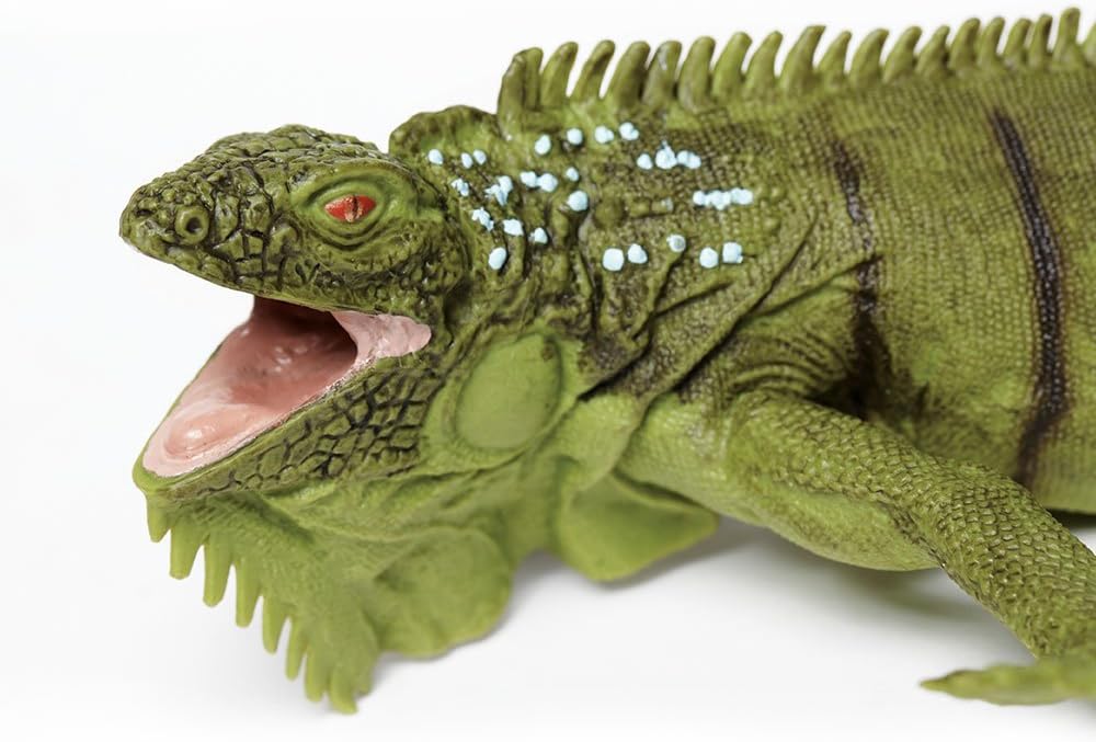 Safari Ltd. Iguana Figurine - Lifelike 11" Model Figure - Educational Toy for Boys, Girls, and Kids Ages 3+