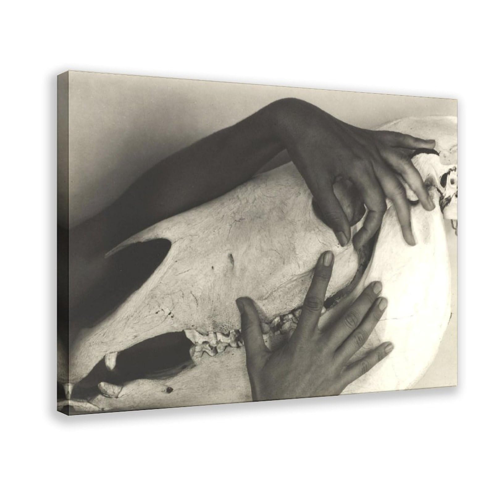 WCYB Alfred Stieglitz - Georgia O'keeffe - Hands And Horse Skull 1931 Prints Posters Canvas Deco Paintings Wall Art For Office Living Room Hangable Frame 8