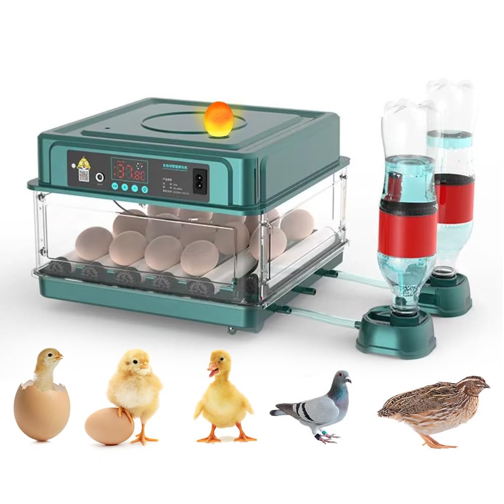 EGG INCUBATOR 最大12個用 自動湿度管理 Amazon.com : Automatic Egg Incubator 12-38 Egg Digital Poultry