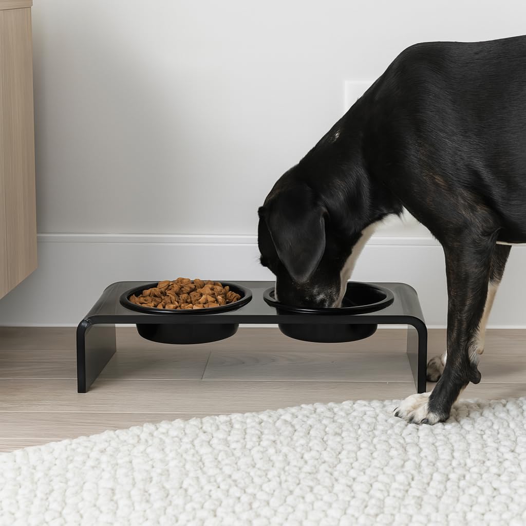 Hiddin Double Elevated Dog Bowl Stand for Small or Medium Dogs, All Breeds, Smoke Grey Acrylic 3.5 Inch Raised Dog Bowl Stand with Two Black Bowls for Food and Water - 1.5 Cups Each Dish