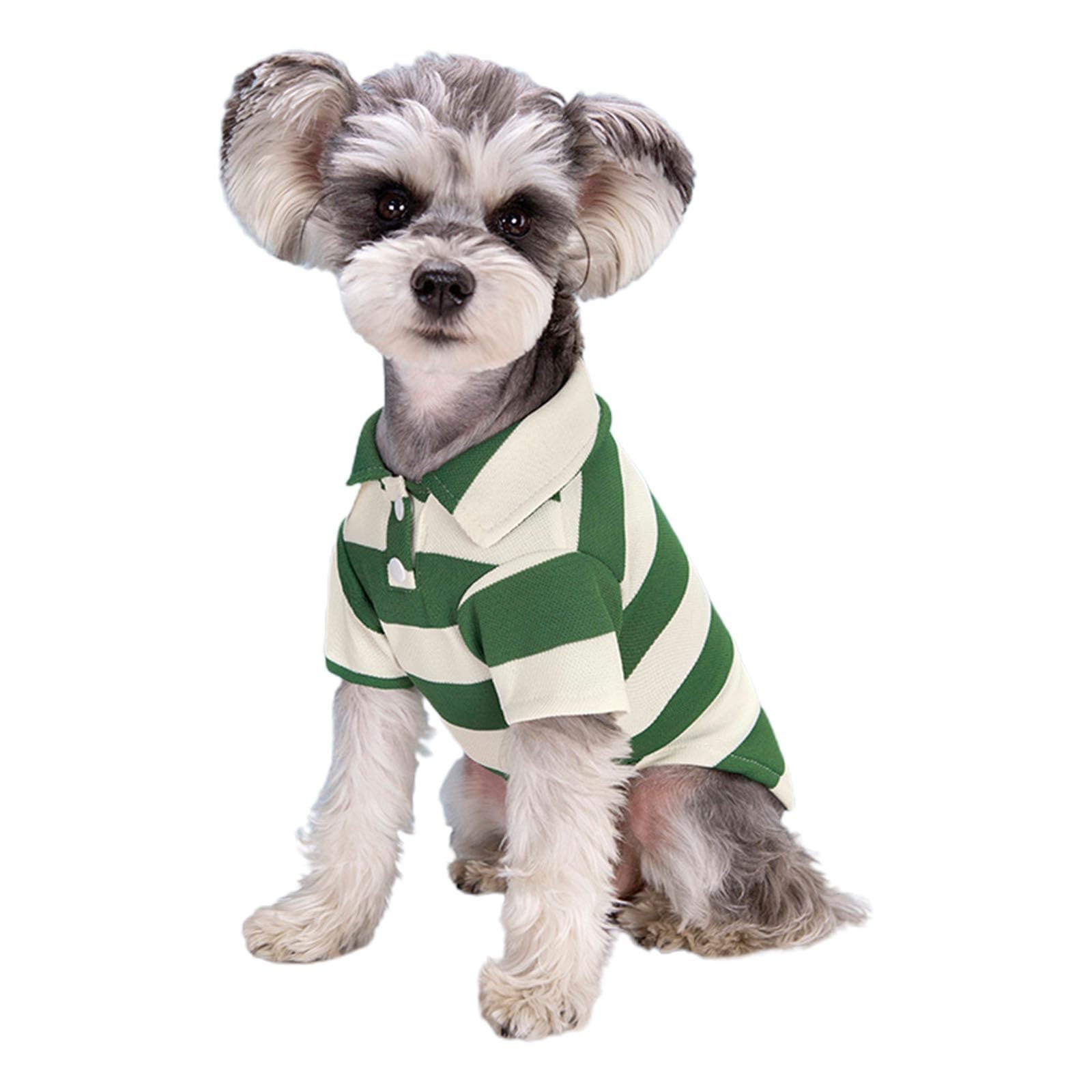 Dog Shirts for Small Medium Pets, Puppy Cute Polo Shirts, Striped Collar T-Shirt Spring Summer Cats Outfits, Breathable Thin Dogs Clothes for Yorkie Puppy Kitten (Green,XXL)