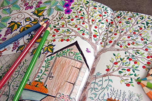 Arteza Colored Pencils For Adult Coloring, 48 Colors, Soft Drawing Pencils, Highly-Pigmented, Wax-Based Core, Professional Art Supplies For Artists, Pencil Set For Adults And Teens #TOP3