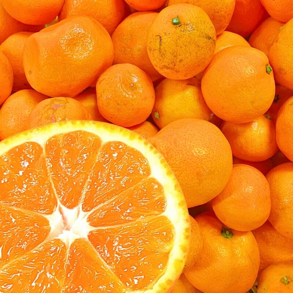 Amazon.co.jp: 訳あり それでも 有田みかん 箱込 10kg (内容量約 9.2kg