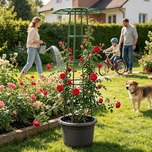 Estructura vegetal tipo paraguas para decorar patios con rosas 3