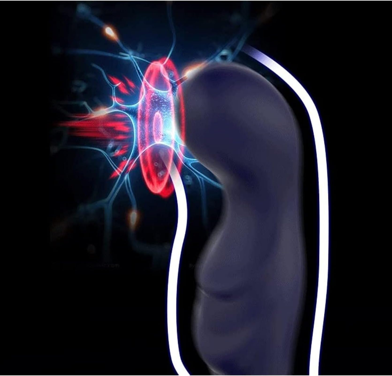 Massaggiatore prostatico, personal trainer, balsamo per le labbra da viaggio, telecomando wireless, massaggiatore anale, massaggiatore per il corpo, silenzioso, impermeabile