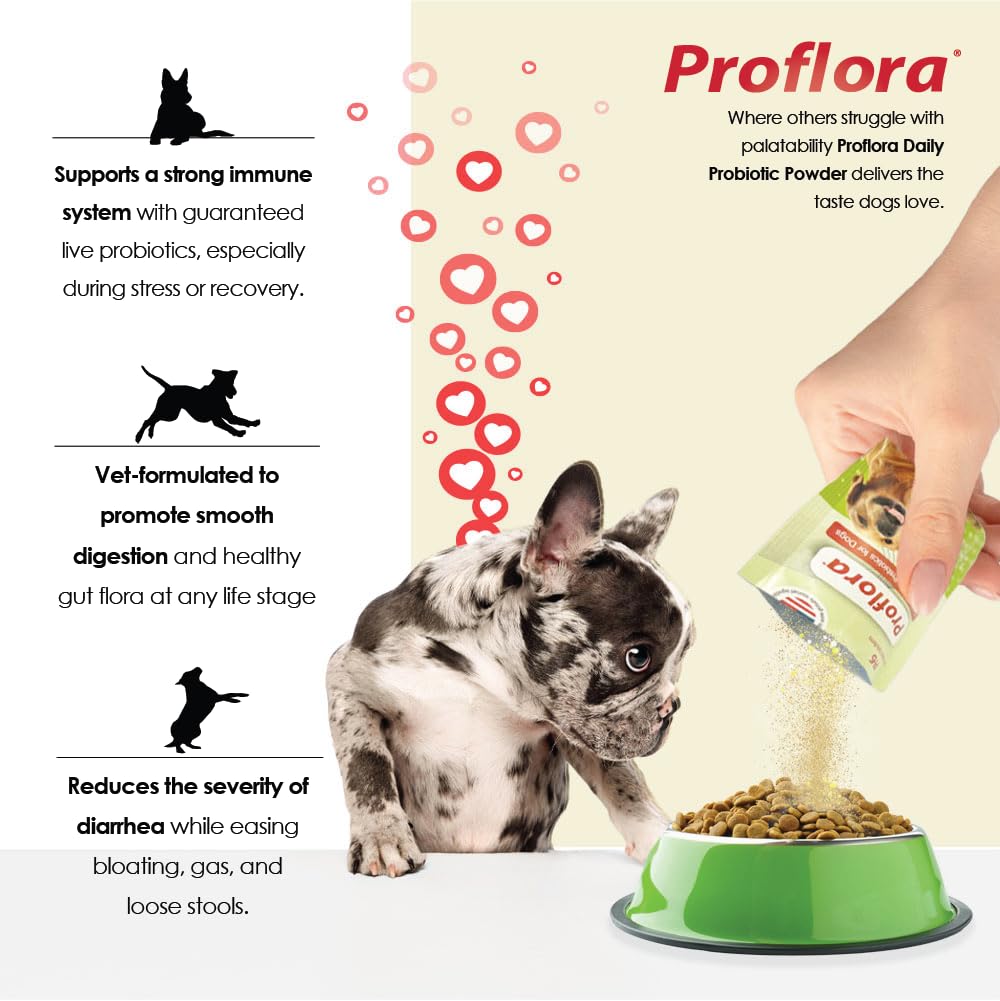Probiotics for Dogs-Complete Gut Health & Immune Support. Easy to Use Digestive Multi-Strain Probiotics. Easier Diet Transitions, Healthier Skin & Coat & Helps Treat Diarrhea. 30 Packets.