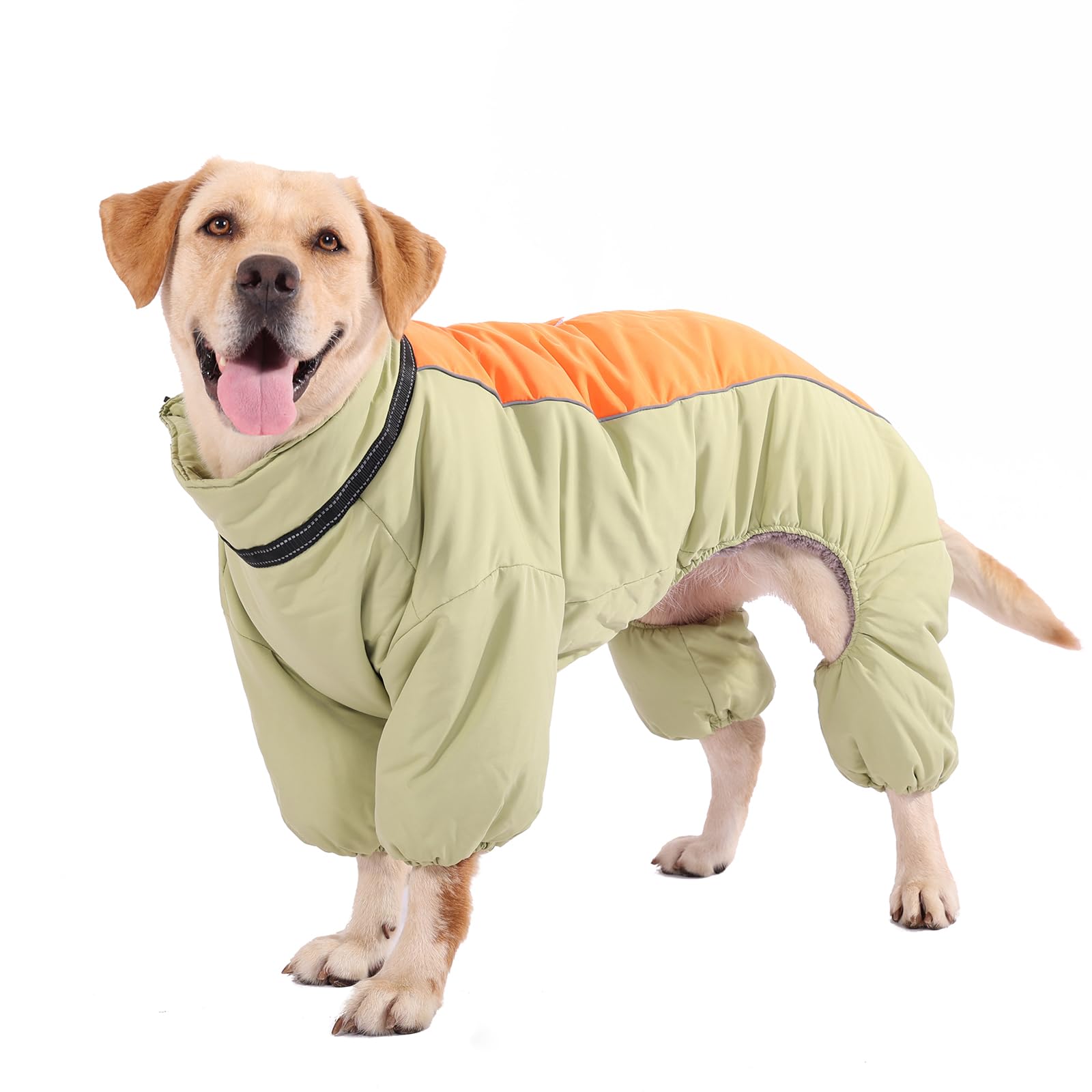 LOVINFURBABY LightGreen Winter Coat