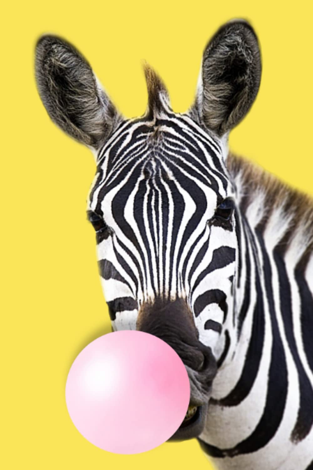 Zebra Notebook: How far beyond zebra