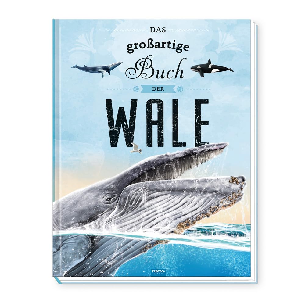 Trötsch Kinderbuch Das großartige Buch der Wale| Ab 8 Jahren: Entdeckerbuch Beschäftigungsbuch Vorlesebuch