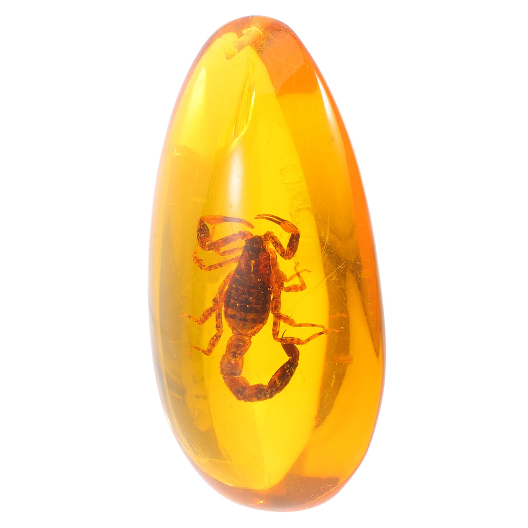 Homoyoyo Realistic Amber Fossilized Scorpion Specimen Unique Decor Insect Sample for Home Collection