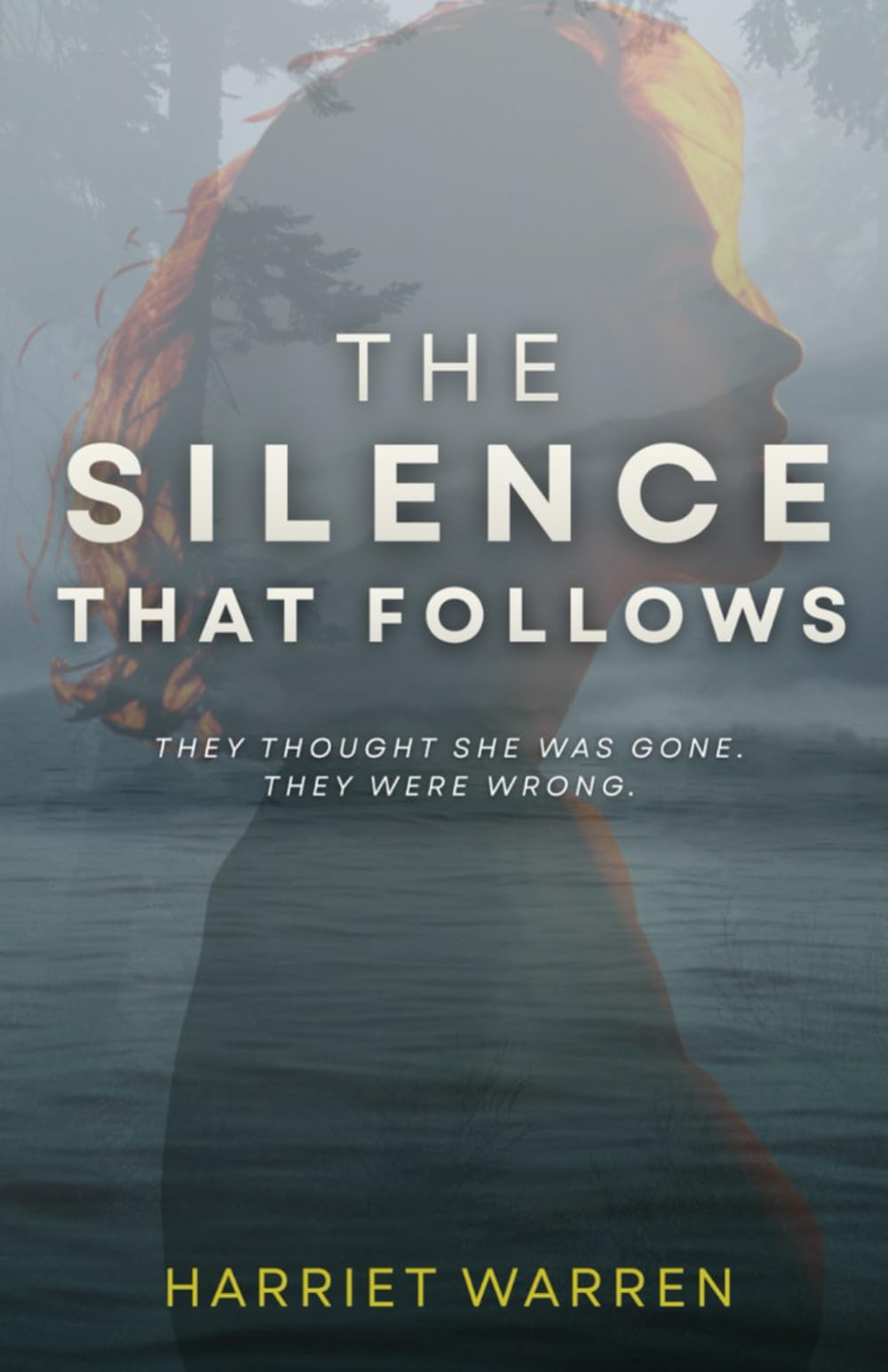 The Silence That Follows (The Silence We Keep)