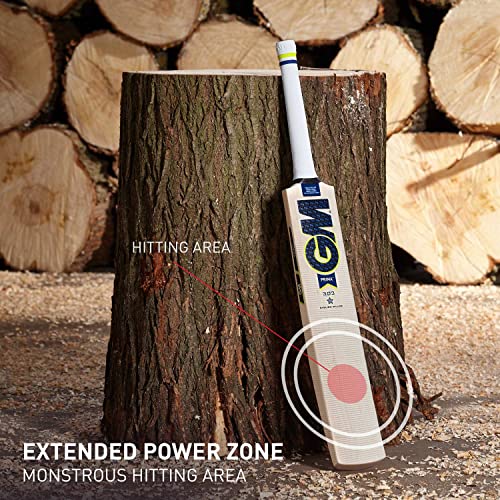 Image of GM Prima 303 English Willow Short Handle Cricket Bat