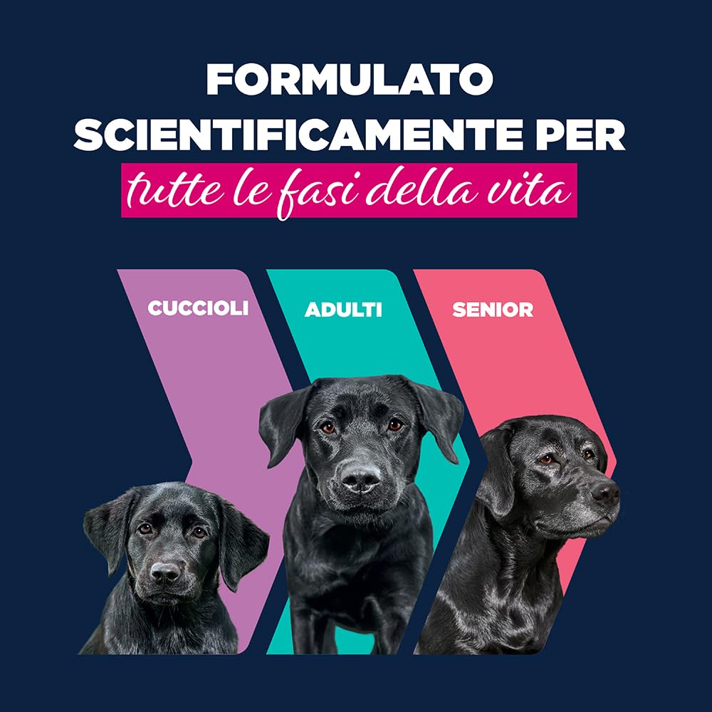 EUKANUBA Cibo umido per cuccioli con agnello e patate, alimento umido premium senza cereali per cani junior, 6 x 400 g lattine
