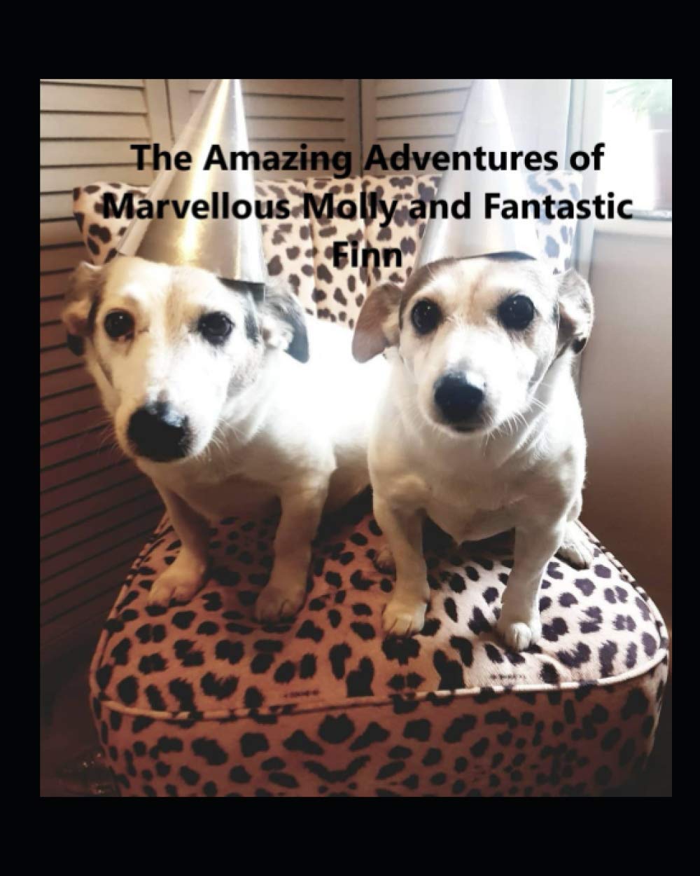 The Amazing Adventures of Marvellous Molly and Fantastic Finn