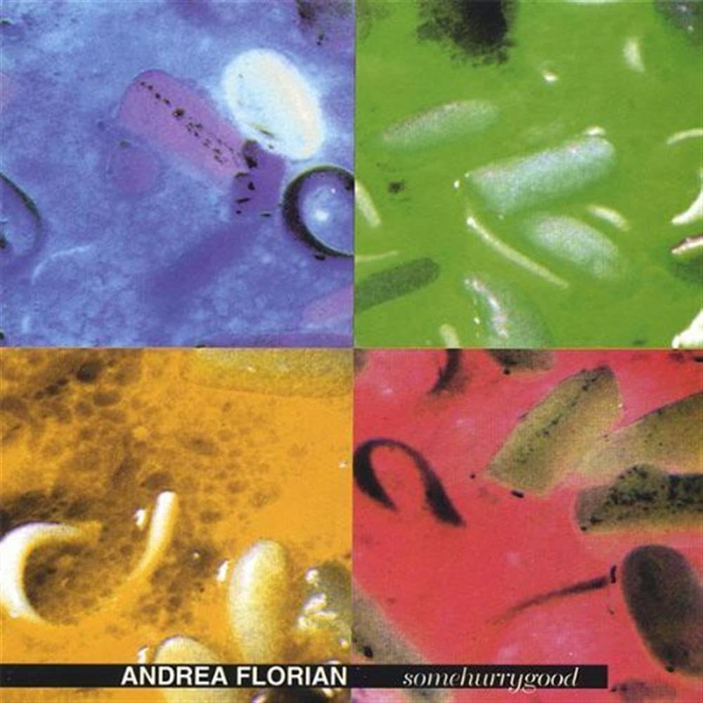 Somehurrygood [Audio CD] Andrea Florian